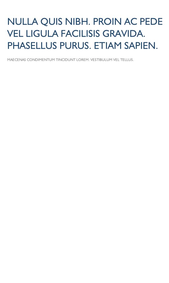 Maecenas condimentum tincidunt lorem. Vestibulum vel tellus. 
